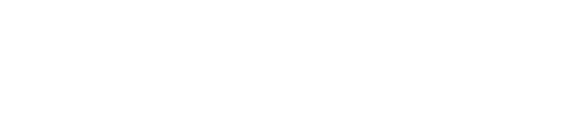 Villages Logo